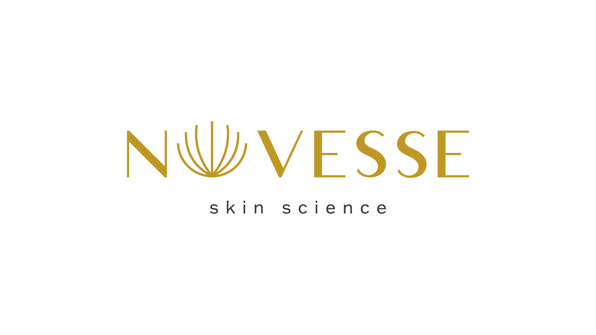 Novesse by Vijaya