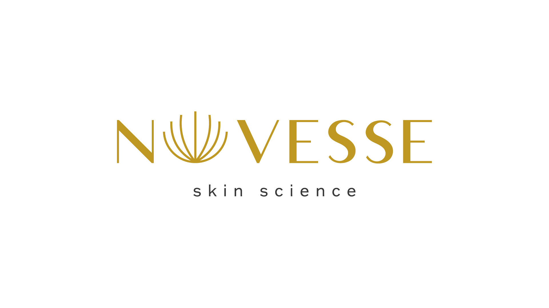 Novesse by Vijaya official logo